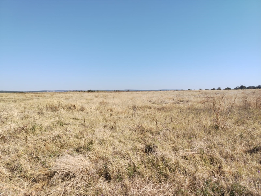 Commercial Property for Sale in Swartruggens North West